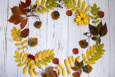 Açık ahşap arka planda parlak bir sonbahar yeşilliğinin dairesel bileşimi