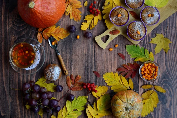 Belo layout de outono de folhas coloridas, abóboras, uvas, muffins de abóbora, chá de espinheiro do mar em um fundo de madeira escura — Fotografia de Stock