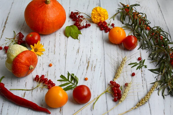 Verduras vermelhas, cor-de-laranja e amarelas brilhantes, bagas e flores na forma de um modelo em uma mesa de madeira — Fotografia de Stock