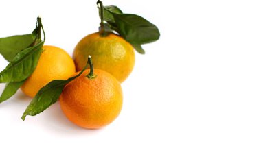 Beyaz arka planda yaprakları olan üç mandalina, yakın plan..