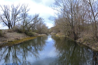 Nehir manzarası ve ilkbaharın başlarında ağaçlar. Doğa ve çevre.