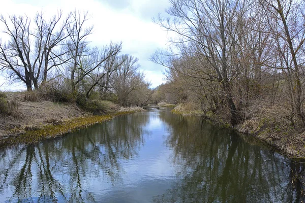 早春の川や木々の風景 自然と環境 — ストック写真