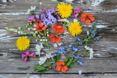 Karahindiba çiçekleri, leylaklar, vadideki zambaklar, unutma beni çiçekleri, kirazlar eski bir ahşap zemindeki desen gibi uzanır. Bahar kavramı. Yukarıdan görüntüle.
