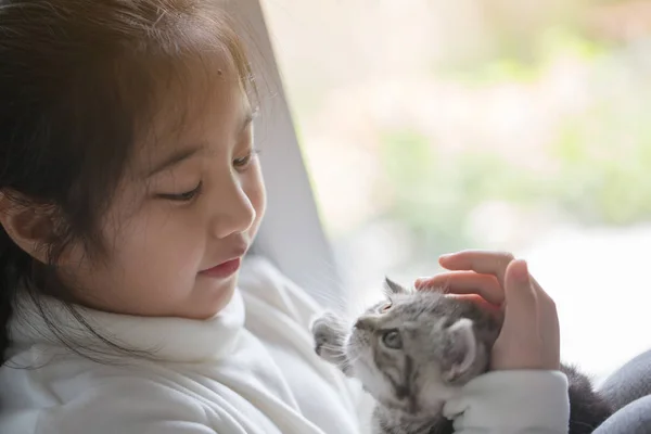 Gelukkig weinig Aziatisch meisje knuffelen mooie scottish fold kitten — Stockfoto