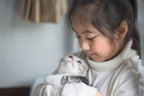 Feliz pouco ásia menina abraçando encantador escocês dobra gatinho — Fotografia de Stock