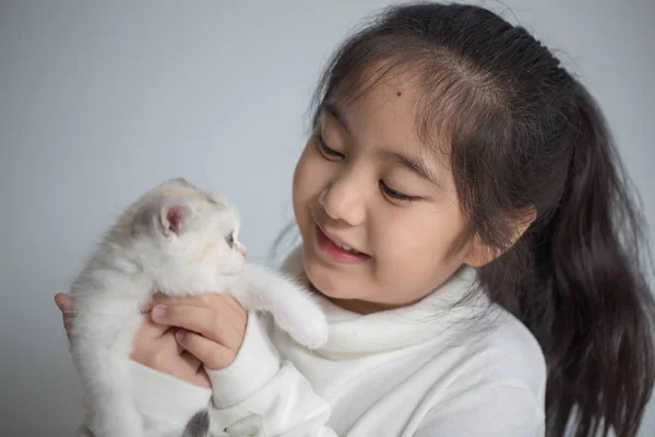 Gelukkig weinig Aziatisch meisje knuffelen mooie scottish fold kitten — Stockfoto