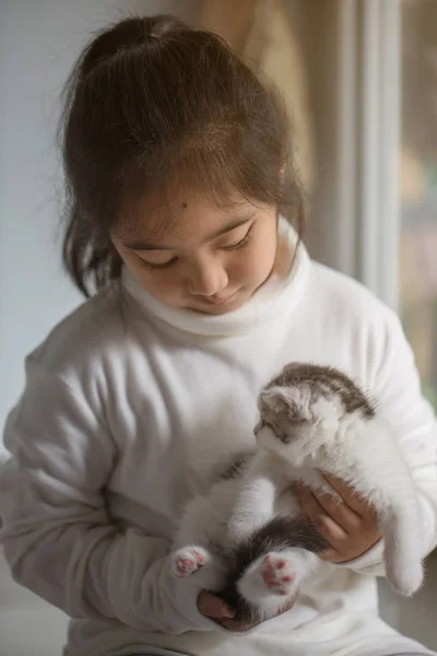 Glücklich wenig asiatisch mädchen hugging schön schottisch fold kitten — Stockfoto