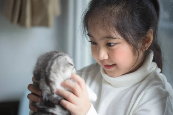 Happy Asijská dívka pÛdû krásné skotské klapouché koťátko — Stock fotografie