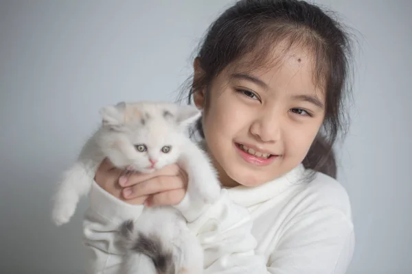 Feliz poco asiático chica abrazando precioso escocés pliegue gatito —  Fotos de Stock