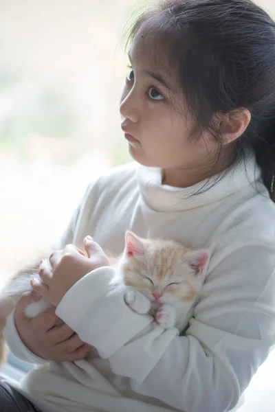 Feliz poco asiático chica abrazando precioso escocés pliegue gatito — Foto de Stock