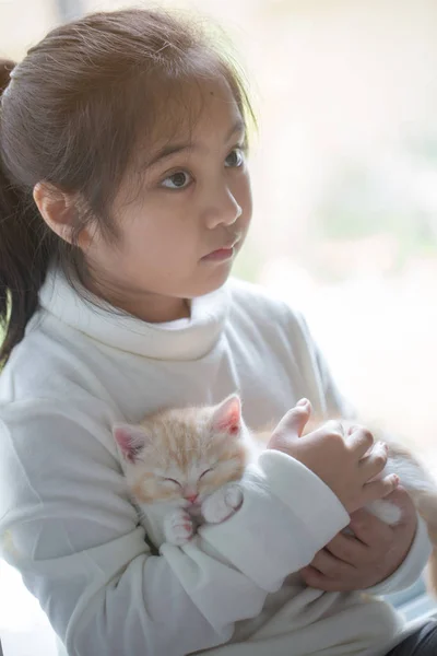 Feliz poco asiático chica abrazando precioso escocés pliegue gatito — Foto de Stock