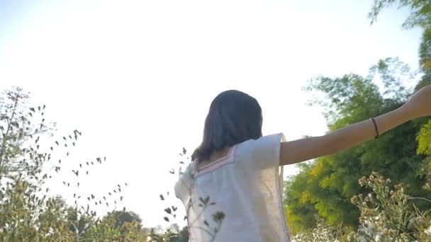 Câmera lenta tiro de menina asiática feliz andando no campo de flores com luz solar — Vídeo de Stock