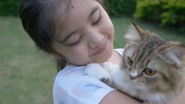 Медленное движение прекрасной азиатской девушки играет со своим персидским котом в парке — стоковое видео