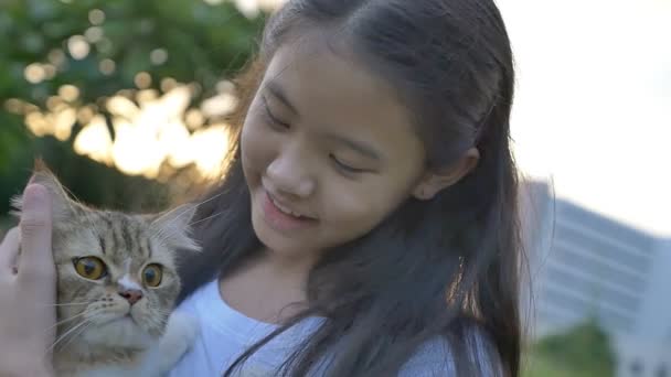 Câmera lenta de linda menina asiática brinca com seu gato persa no parque — Vídeo de Stock