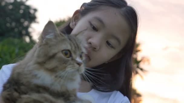 Linda Menina Asiática Brinca Com Seu Gato Persa Parque — Vídeo de Stock