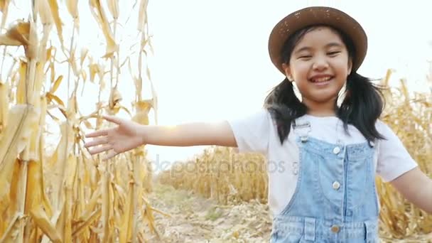 Feliz chica asiática caminando en el campo de maíz, disparo en cámara lenta — Vídeos de Stock