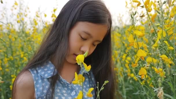 牧草地では、スローモーション撮影笑顔幸せなアジアの女の子 — ストック動画