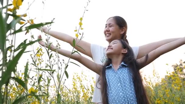 Glücklich asiatische Mädchen und Mutter spielen in der Wiese, Zeitlupe Schuss — Stockvideo