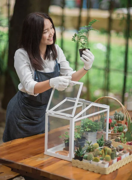 Heureuse Jeune Femme Asiatique Mettant Plante Mini Maison Verre — Photo