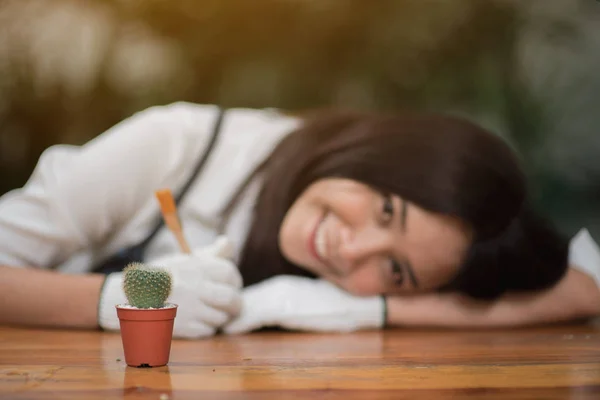 Portrait Jeune Fille Asiatique Plantation Petit Cactus Dans Pot — Photo
