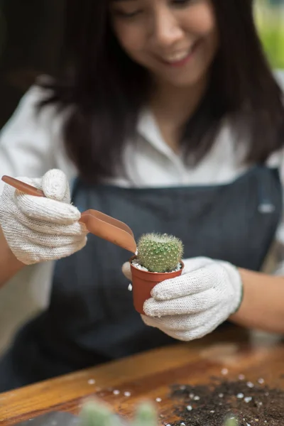 Portrait jeune fille asiatique plantation petit cactus dans un pot — Photo