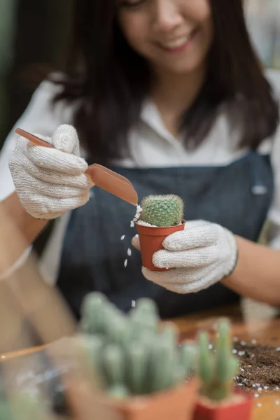 Portrait jeune fille asiatique plantation petit cactus dans un pot — Photo