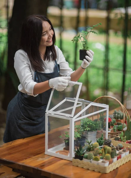 Heureuse jeune femme asiatique mettant plante à mini maison en verre — Photo