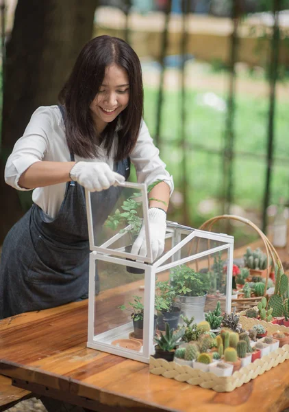 Heureuse jeune femme asiatique mettant plante à mini maison en verre — Photo