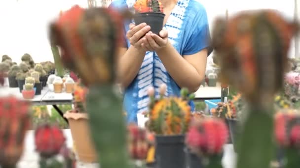 4k: výsadbu různých kaktusů v serverové farmě, Žena krásné asijské farmáře naklonit nahoru shot — Stock video