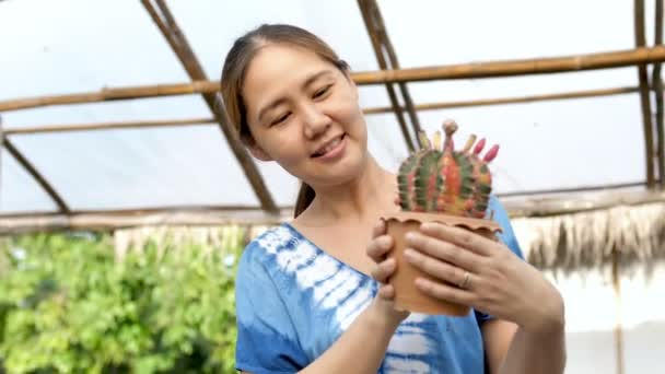 4K Hermosa mujer agricultora asiática plantando varios de cactus en la granja — Vídeo de stock