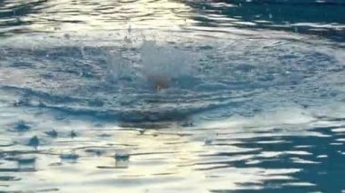 Mutlu çocuk tatilde eğlenmek.