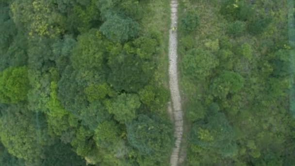 Top view of cable car — Stock Video