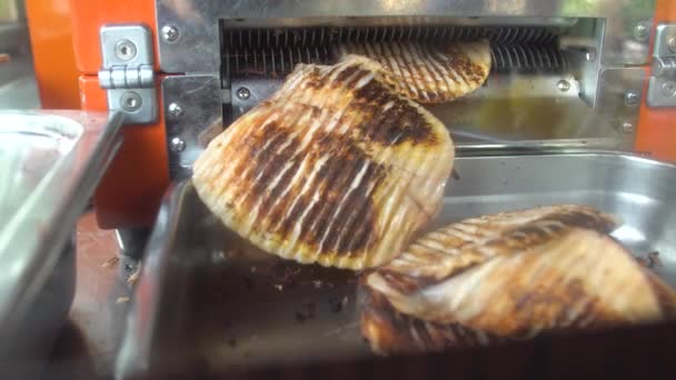 Cocinar pulpo y calamar en la máquina  . — Vídeos de Stock