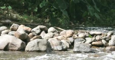 Tayland (Vongtakai şelale)