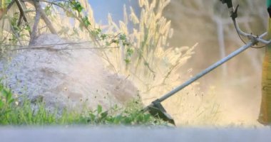 Bahçe peyzaj mimarı adam çim biçme makinesi ile Bahçe onun bahçesinde kesme çim biçme