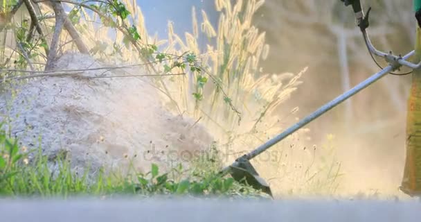 Садовый садовник стрижет траву в саду газонокосилкой — стоковое видео