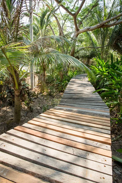 paseo en el parque — Foto de stock © silverjohn #13846233