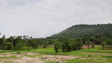 Geniş atış tropik yağmur ormanı orman, sis, sis, yağmur, bulutlar zaman atlamalı görüntüleri içinde hareket. Yeşil manzara.