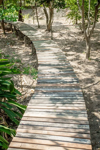Ponte in legno in giardino — Foto Stock