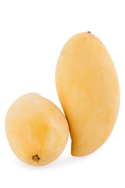 Beyaz arkaplanda yalıtılmış mango meyvesi .