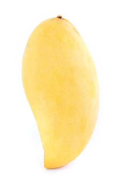 Fruto de mango aislado sobre fondo blanco . — Foto de Stock