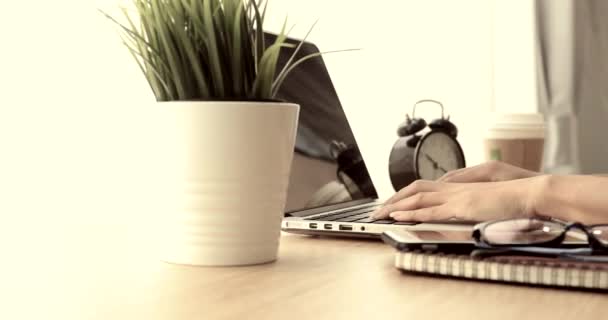 Büroangestellte Tippt Auf Laptop — Stockvideo