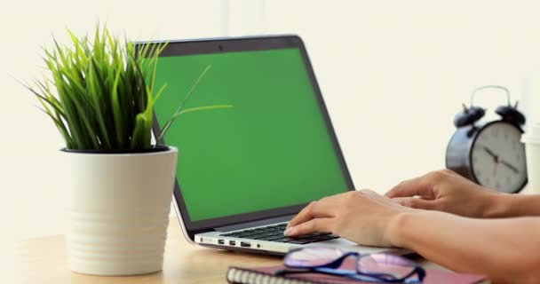 Yeşil Bir Ekran Ile Laptop Yazarak — Stok video