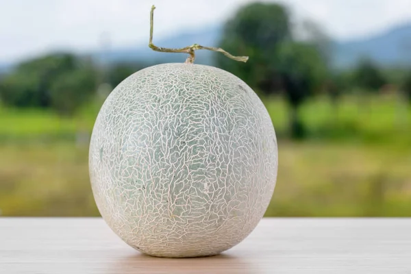 Cantaloupemelon, frukt på vit bakgrund . — Stockfoto