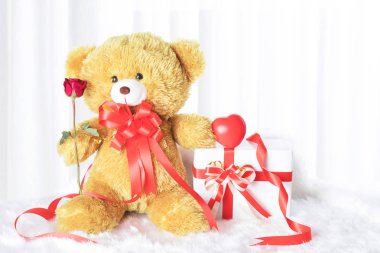 Ayı dall inanılmaz bir kırmızı gül tutuyor.