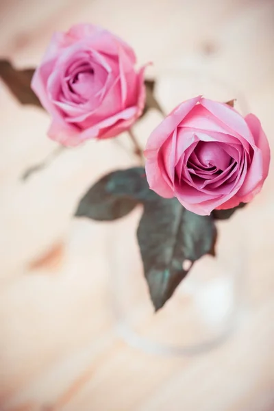 Pink rose on wood background with copy space. — Stock Photo, Image