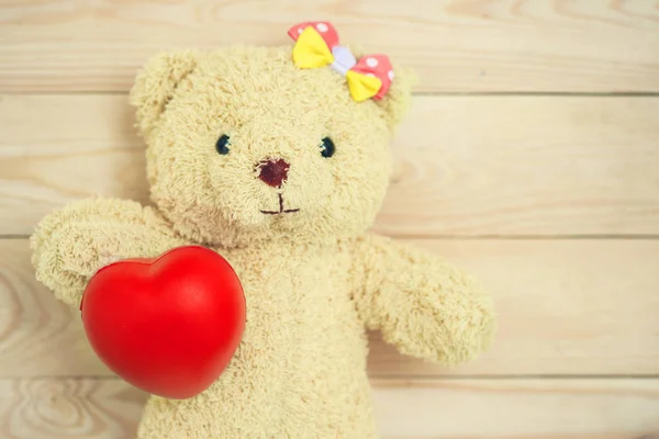 Медведь далл держит удивительное красное сердце Огромный  . — стоковое фото