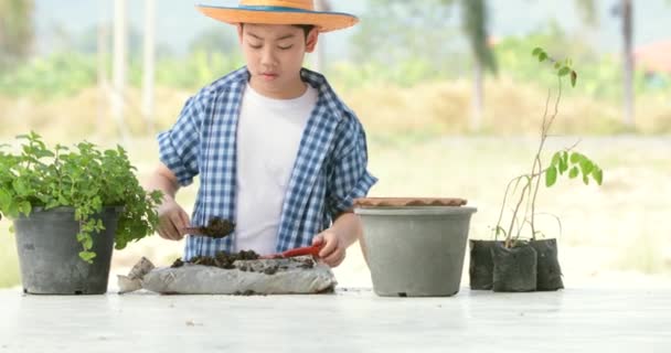 Jonge Aziatische Thaise Jongen Bereiden Zwarte Bodem Plantje Tuin Aarde — Stockvideo