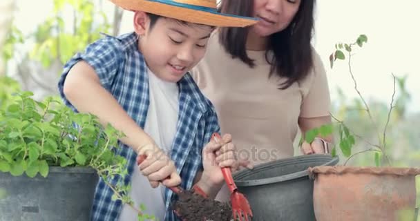 年轻的亚裔母亲与她的男孩准备黑土的小植物在花园里 地球日概念 — 图库视频影像