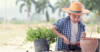 Genç Asya Tayland çocuk bahçede üzerinde siyah küçük bitki toprağa hazırlayın. Dünya gün kavramı.